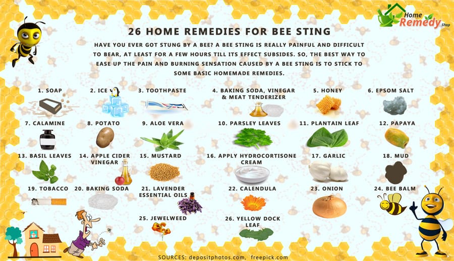 26 Home Remedies for Bee Sting