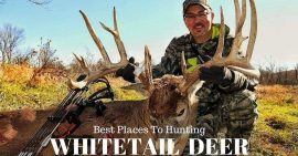 Best Places To Hunt Whitetail Deer