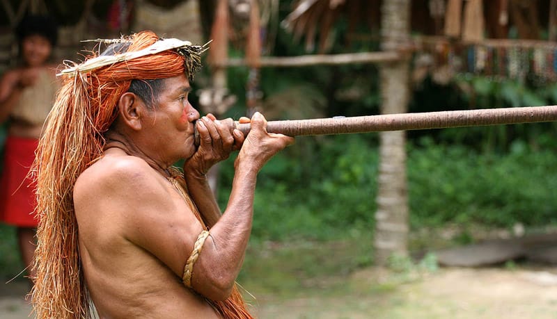 blowguns were used by traditional tribes