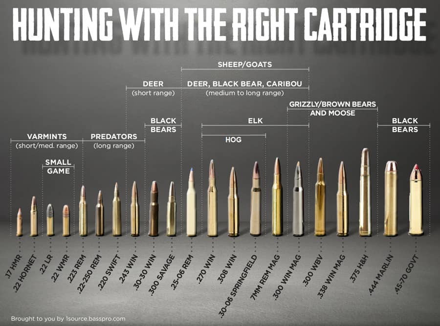 hunting-cartridge-chart