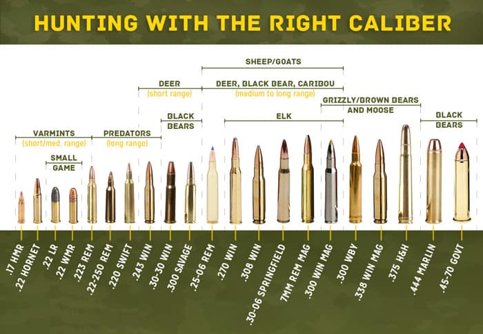 Know Your Caliber